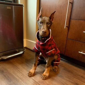 DOBEROSSO