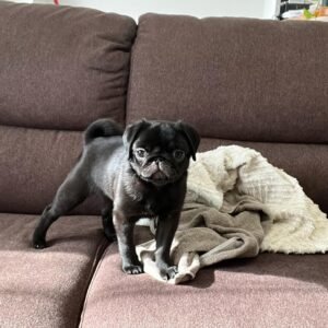 LUCY